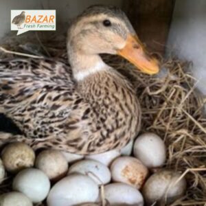 মজাদার+পুষ্টিকর হাঁসের ডিম (৩০) টি
