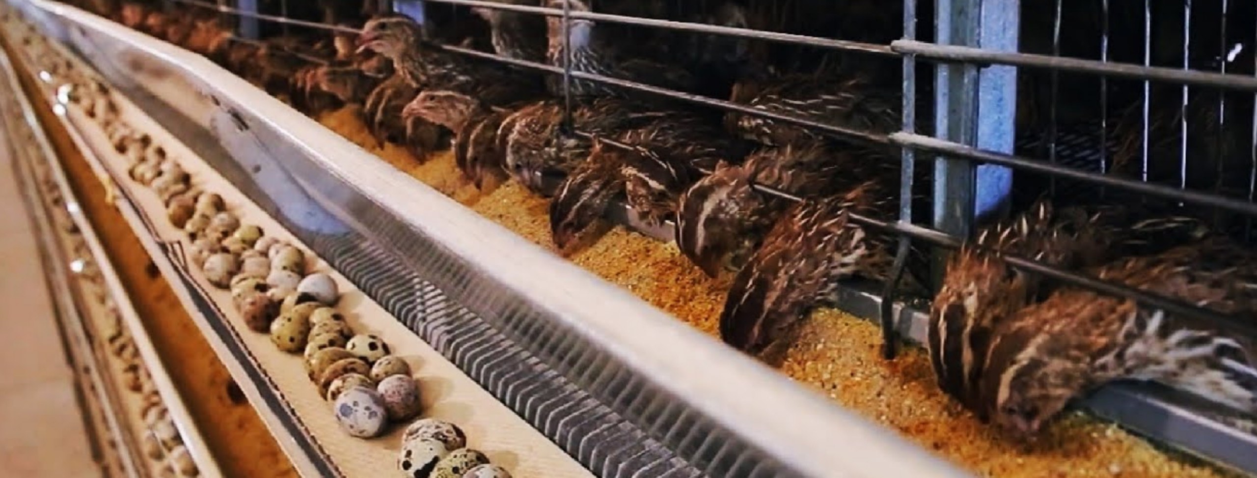 photo_2025-12-28_11-17-08