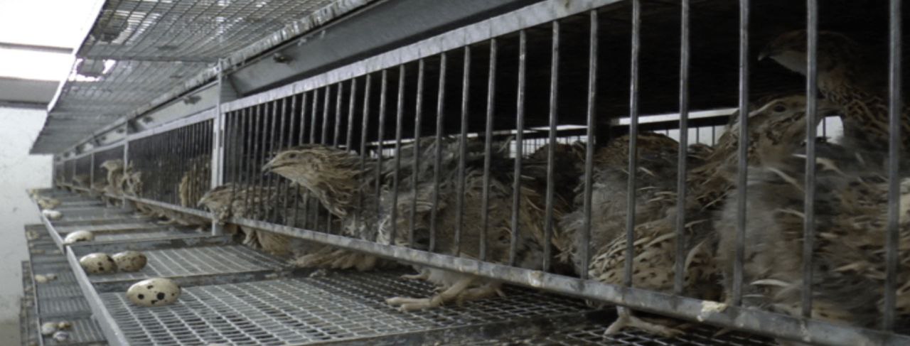 photo_2025-12-28_11-17-12