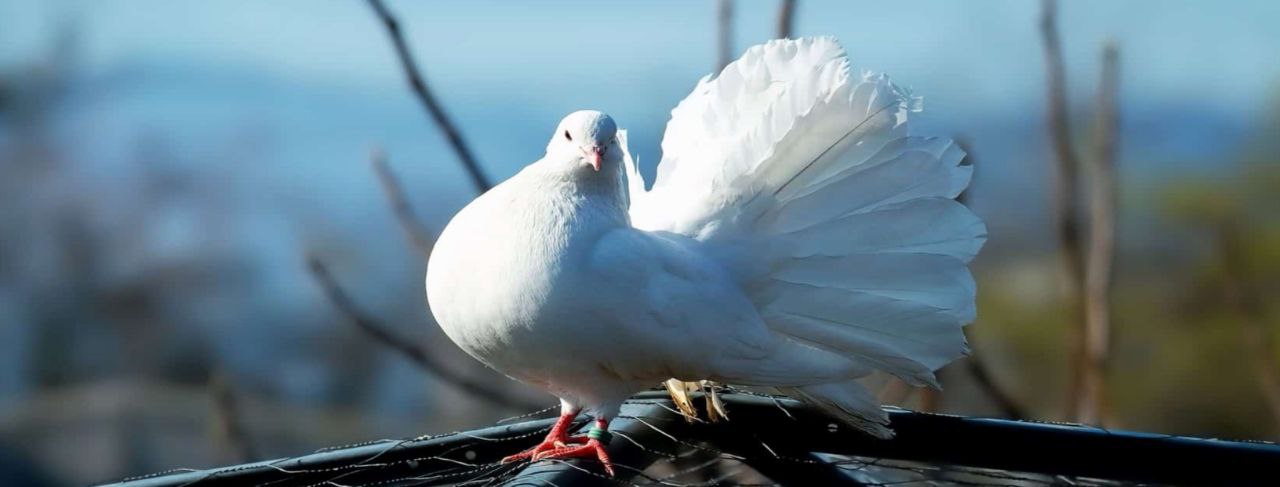 photo_2025-12-28_11-17-14